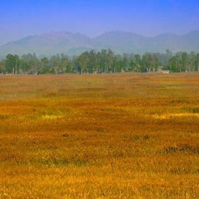 Keibul Lamjao National Park
